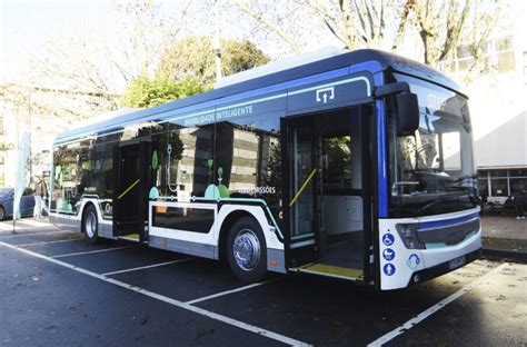 AMPorto poderá estudar criação de uma STCP Metropolitana caso atual