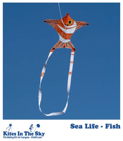 Sea Life - Fish Kite Kit (1pk-4pk) | Kites In The Sky