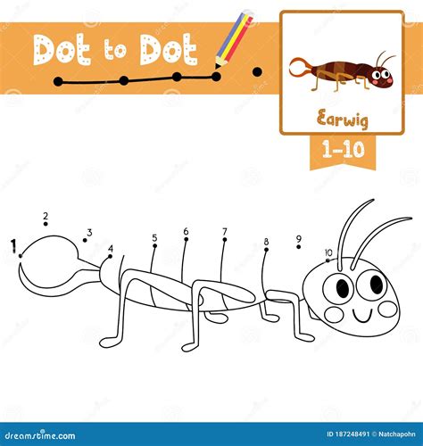 Dot To Dot Educational Game And Coloring Book Earwig Animal Cartoon