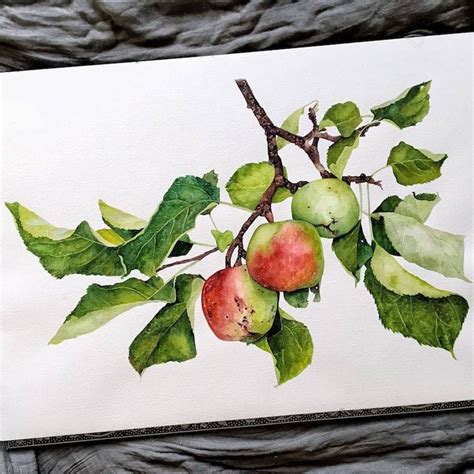 Apple Branch For A Milton Fan Wetcanvas Online Living For Artists