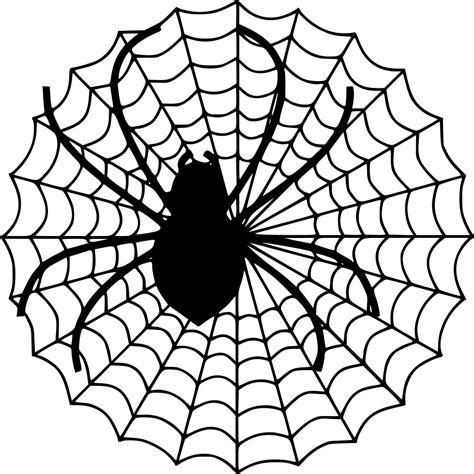 Spider Web PNG Cutout | PNG All