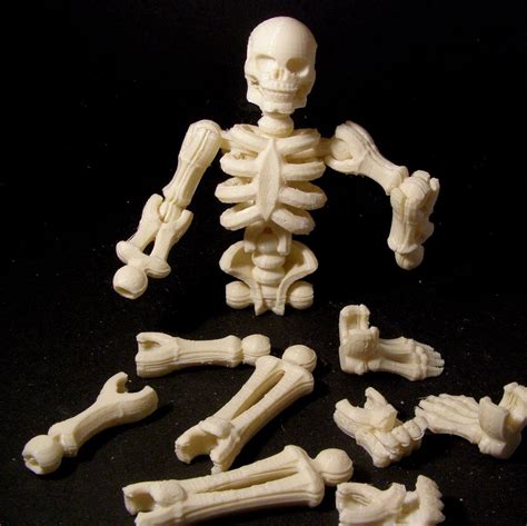 Build A Skeleton Printable