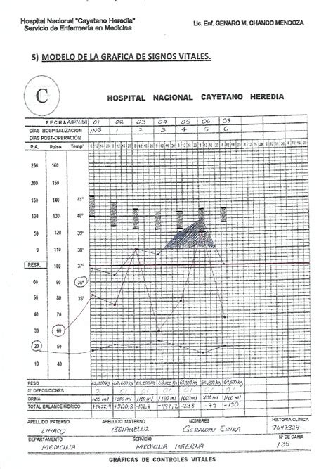 Hoja De Signos Vitales Signos Vitales Cosas De Enfermeria Auxiliar De