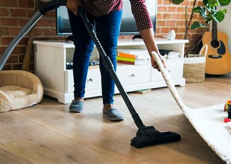 Pests Be Gone 11 Natural Ways To Make Your Home Critter Free Bob Vila