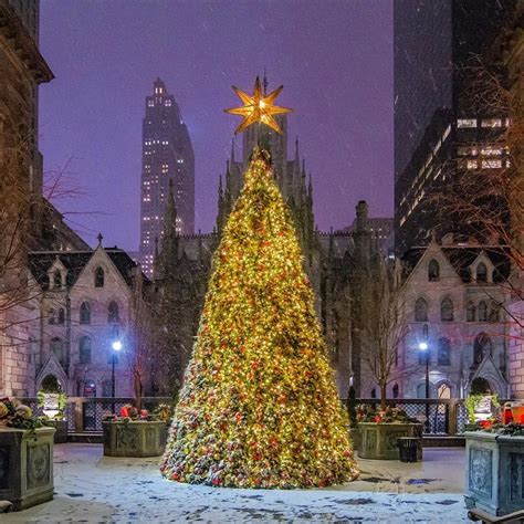 Christmas Tree At The New York Palace On A Snowy Morning In Midtown Manhattan New York City By