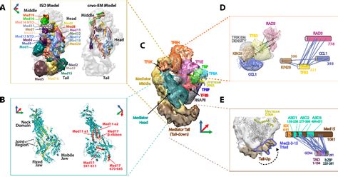 Figure 2 From Role Of Integrative Structural Biology In Understanding