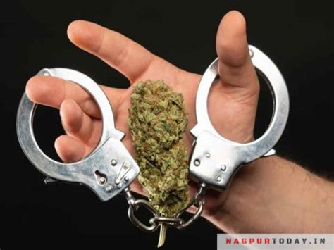 Telangana Warangal Task Force Arrests One With 500 Grams Ganja