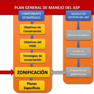 PDF Guía rápida para la implementación de la zonificación en áreas