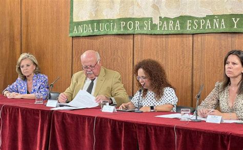 Cermi Andaluc A Insta A La Junta Que Se Garantice La Participaci N