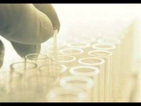 Lesbian Sperm Donation Scandal YouTube