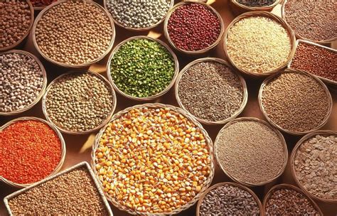 Explained International Year Of Millets And Why Millets Is A Superfood