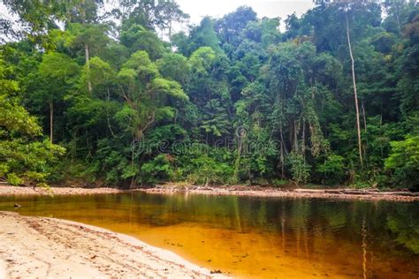 River In Jungle Rainforest Taman Negara National Park Malaysia Stock