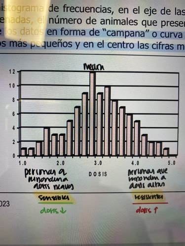 Fichas De Aprendizaje Parcial 1 Farma Quizlet