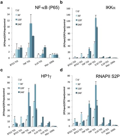 Nf Kb Dependent Genes Show Specific Temporal Patterns Of Ikka