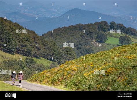 Pilgrims With Backpack Walking The Camino De Santiago In Pays Basque