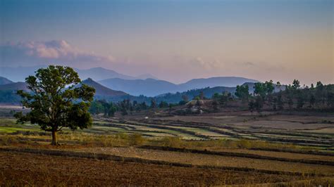 Araku Valley - History, Things to Do, Location, Best Time to Visit | Adotrip