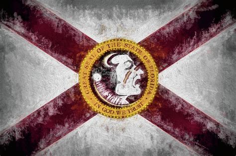 Florida State Flag Digital Art By Jc Findley Fine Art America