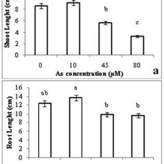 Effects Of As Stress On Shoot Length A And Root Length B Of