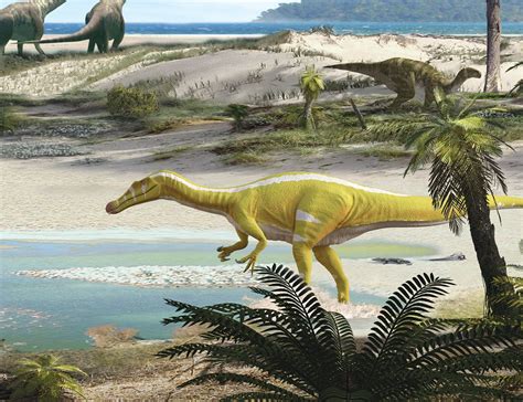 Descubren Al Campe N De Cinctorres Una Nueva Especie De Dinosaurio Que