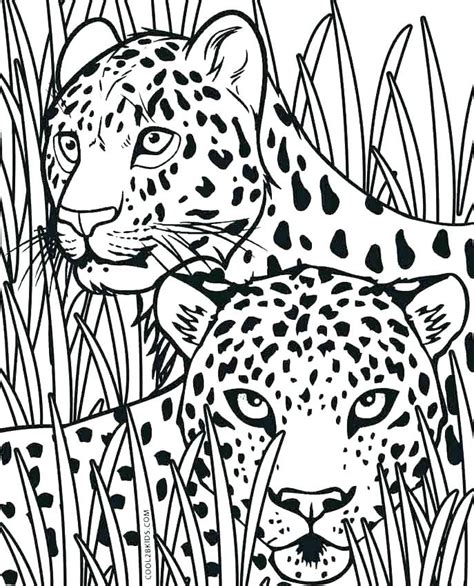 Cheetah Cub Coloring Pages at GetColorings.com | Free printable colorings pages to print and color