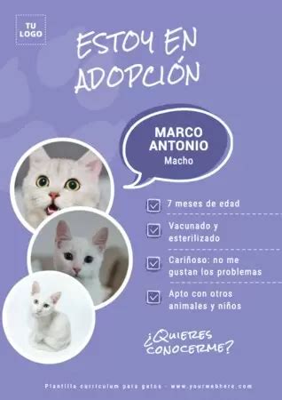 Plantillas De Curr Culums Para Perros O Gatos