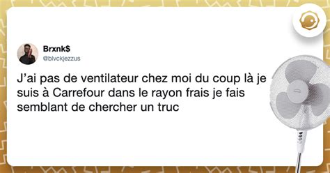 Les 10 Meilleurs Tweets Sur Le Ventilateur Le Meilleur Ami Et