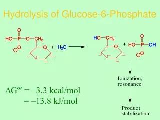 Ppt Glucose Phosphate Dehydrogenase G Pd Powerpoint