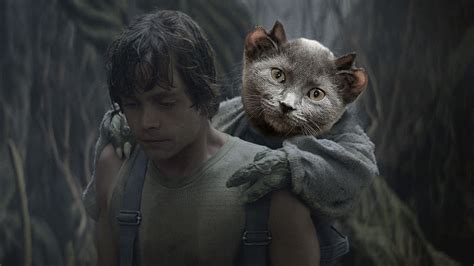 Yoda, Chicago Cat With 4 Ears - (From r/pics) : r/photoshopbattles