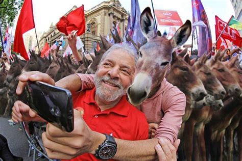 Os Caras S O T O Burros Que V O Votar Em Um Barbudo Cachaceiro Que N O