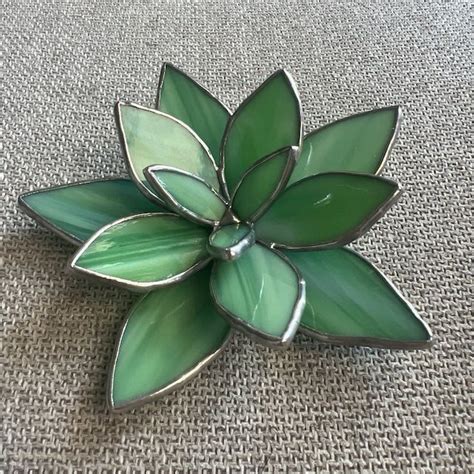 Stained Glass Succulent Waterless Plant Cactus Succulent Etsy In