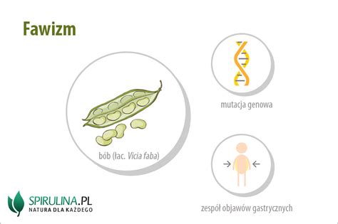 Fawizm Algi Spirulina I Chlorella