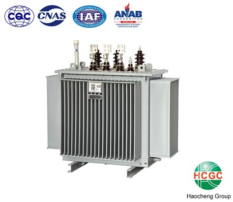 S9 Oil Immersed Transformer 3 Phase 6kv 10kv 11kv 1600kva Oil Immersed Power Step Down