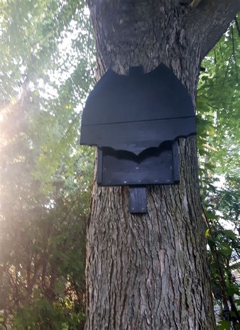 16 Diy Bat Box Plans You Can Build Today Diyncrafty