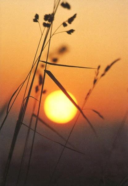 Sterbebildchen Zur Erinnerung Sonnenuntergang Mit Passendem Zitat