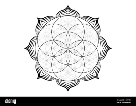 Graine Fleur De Vie Lotus Ic Ne Yantra Mandala G Om Trie Sacr E