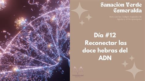 Día 12 Reconectar las doce hebras del ADN Reto diario Sanación