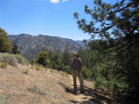 National Forest: Angeles National Forest Camping