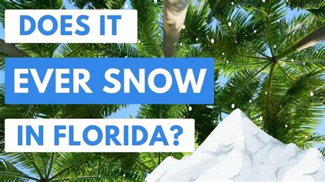 Why doesn't it snow in Florida? (Equator, Elevation, and Flurries Explained) - The Florida Agents