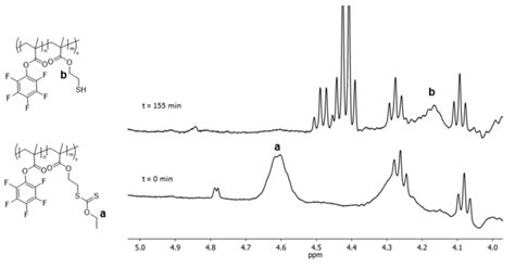 Figure S2 1 H Nmr Spectrum Of The Deprotection Of Xma Monomer In Download Scientific Diagram