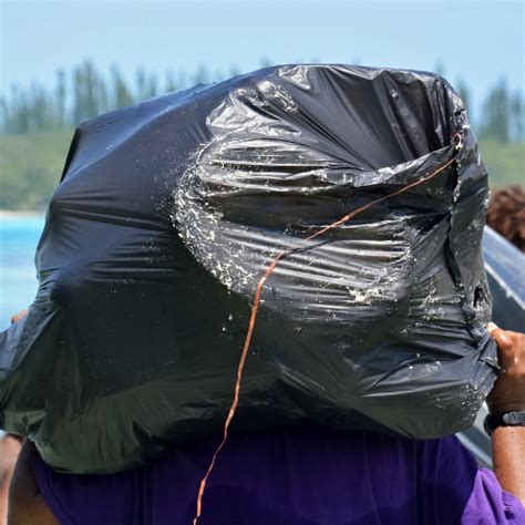 An Eco Friendly Way To Dispose Trash Biodegradable Kitchen Trash Bags