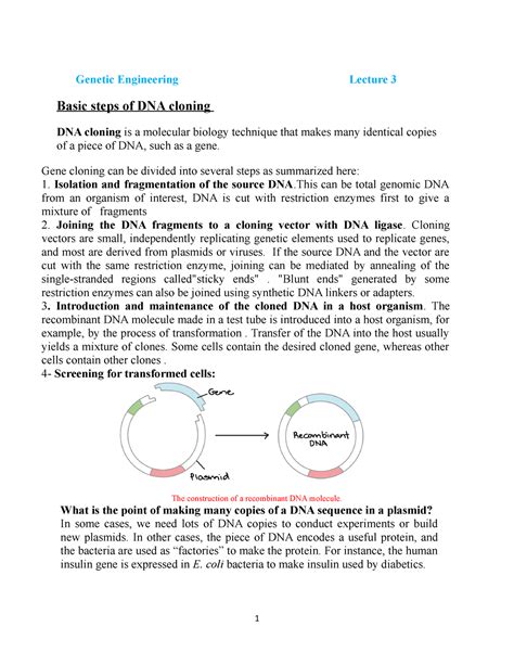 Cloning Vectors Genetic Engineering Lecture 3 Basic Steps Of Dna Cloning Dna Cloning Is A