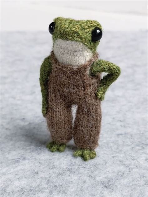 Frog In Overalls Knitted By India Rose Crawford Crochet Frog Cute Crochet Fun Crochet Projects