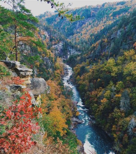 Free Images Landscape Tree Nature Forest Outdoor Rock Waterfall