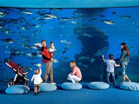 Palma Aquarium (Palma) - Visitor Information & Reviews