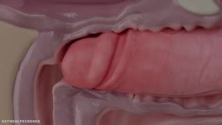 X Ray Porn Videos Free XXX Movies IPornTV