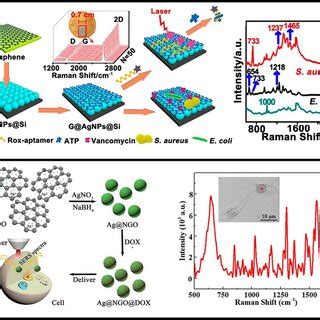 A Carbon Dot Silver Nano Hybrid As SERS Films For Bacteria Detection