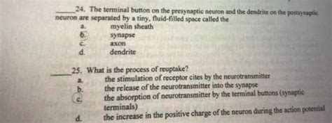 Solved 24. The terminal button on the presynaptic neuron and | Chegg.com