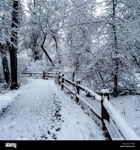 Park Winter Scene Boulder, Colorado Stock Photo - Alamy