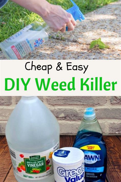 Diy Weed Killer Diy Weed Killer Weed Killer Homemade Natural Weed