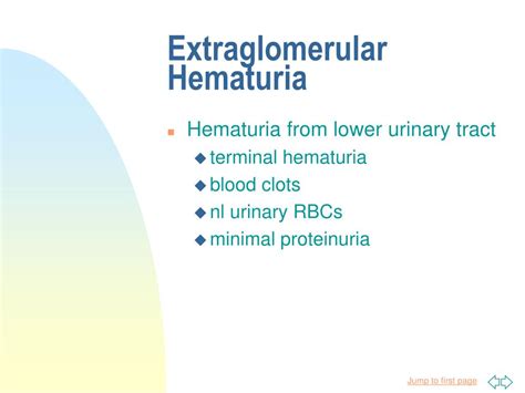 Ppt Hematuria Powerpoint Presentation Free Download Id 635815